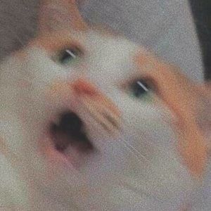 Meet your Posher, Sabrina